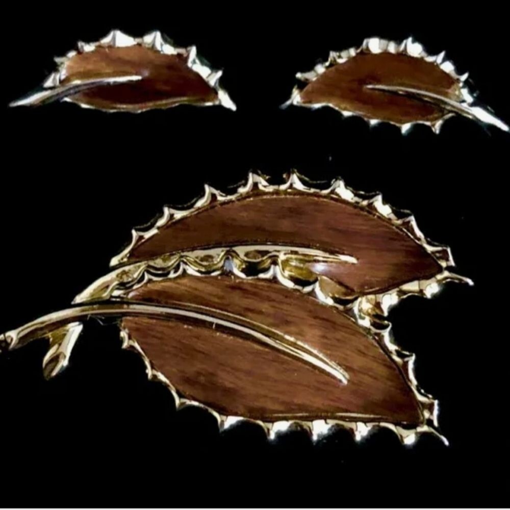 Sarah Coventry Wooded Beauty Brooch And Earrings Set - Wood Grain / Veneer Look
